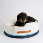 Dog Cushion, image 4