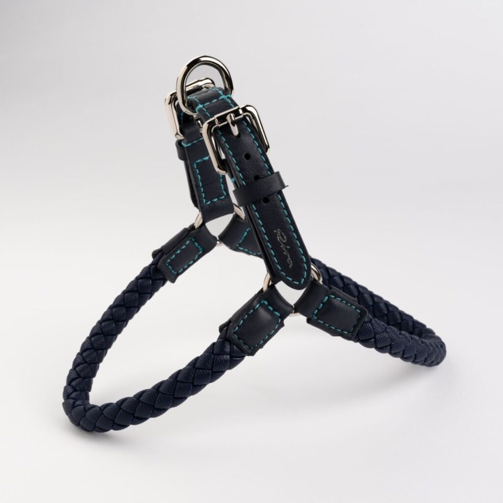 Dog Harness