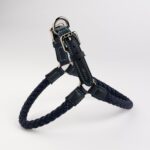 Dog Harness, image 1